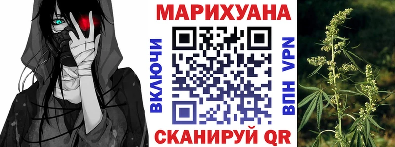 где можно купить   Белая Холуница  Конопля AK-47 